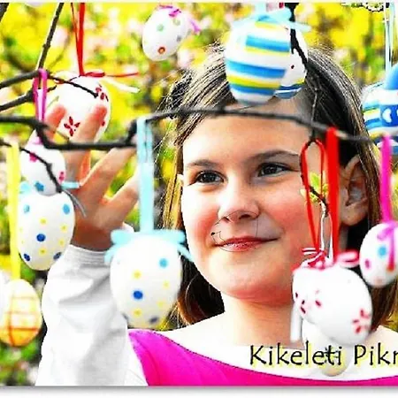 Benyei Fogado Panzio Es Etterem فندق مبيت وإفطار 3*